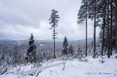 Winterlicher Ausflug zum Brocken_2