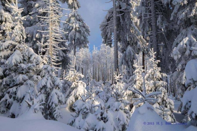 Winterlicher Ausflug zum Brocken_34