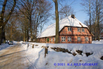 Lüneburger Heide im Winter_3