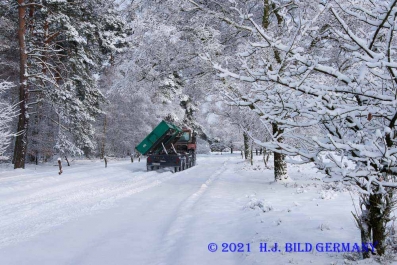 Lüneburger Heide im Winter_6