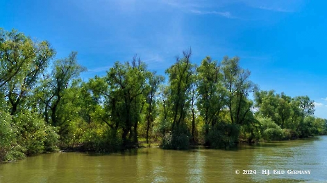 Kreuzfahrt zum Donaudelta  Delta Ankunft_10