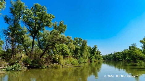 Kreuzfahrt zum Donaudelta  Delta Ankunft_1
