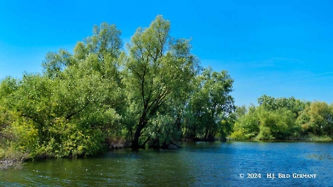 Kreuzfahrt zum Donaudelta  Delta Ankunft_3