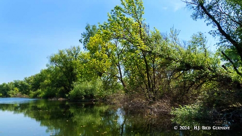 Kreuzfahrt zum Donaudelta  Delta Ankunft_6