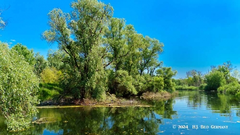 Kreuzfahrt zum Donaudelta  Delta Ankunft_7