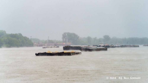 Kreuzfahrt zum Donaudelta  Delta und Donau-Auen_13