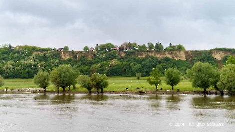 Kreuzfahrt zum Donaudelta  Delta und Donau-Auen_14