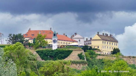 Kreuzfahrt zum Donaudelta  Novi Sad_2