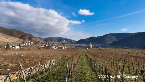 Weissenkirchen Wachau_4