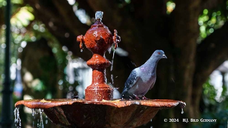 Mitteleuropa Kreuzfahrt:  Stop in Vigo_9