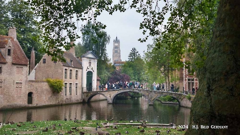 Mitteleuropa Kreuzfahrt mit der Vasco Da Gama:  Stop in Zeebruegge_9