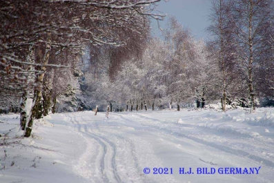 Lüneburger Heide Winterfotos