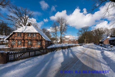 Lüneburger Heide im Winter_1