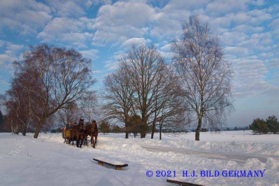 Lüneburger Heide im Winter_14