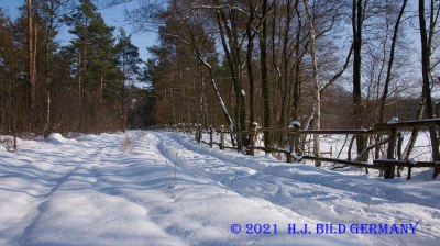 Lüneburger Heide im Winter_16