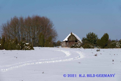 Lüneburger Heide im Winter_17